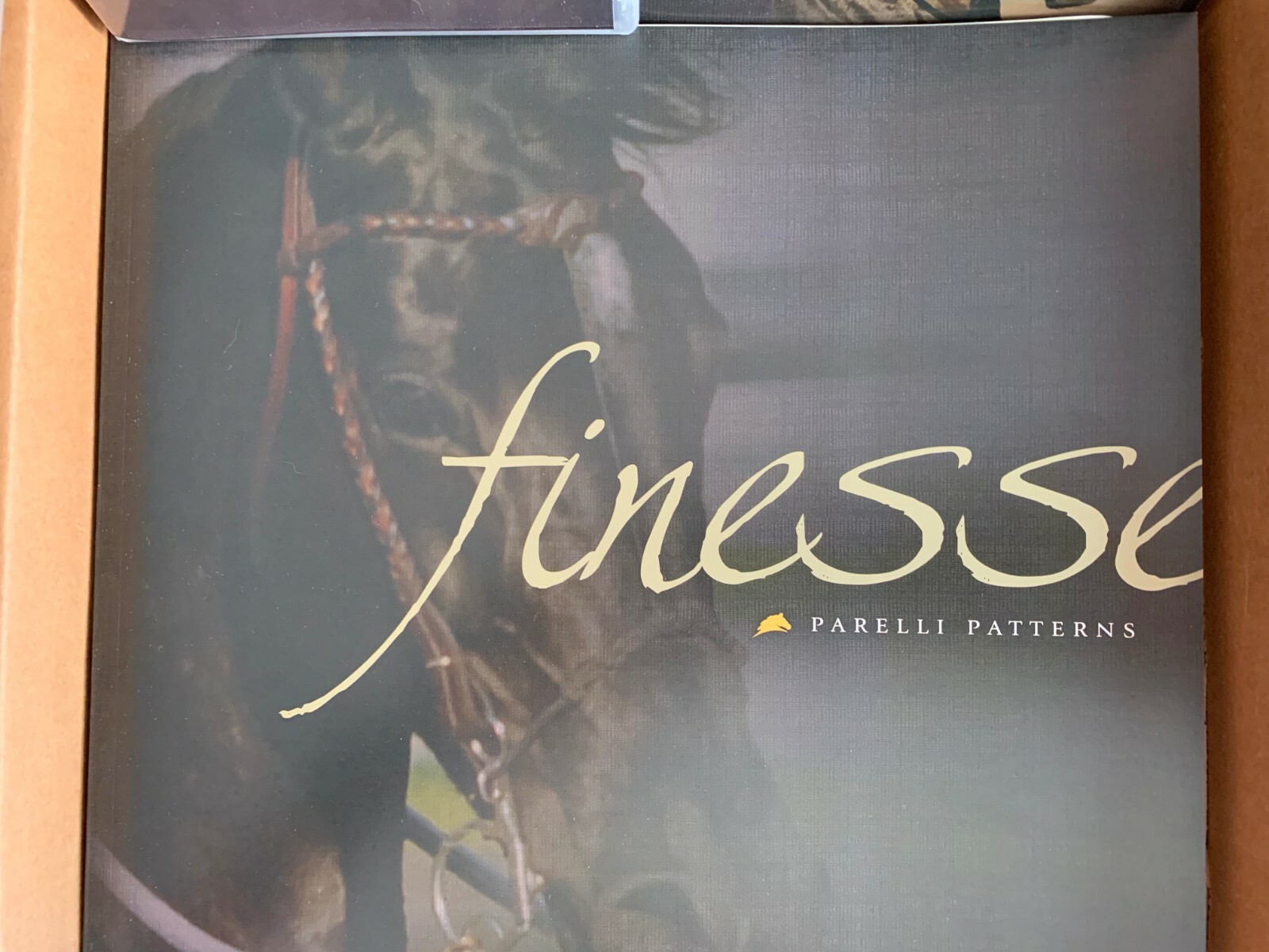 Parelli Patterns Finesse - Natural Horsemanship Equine Training NEW