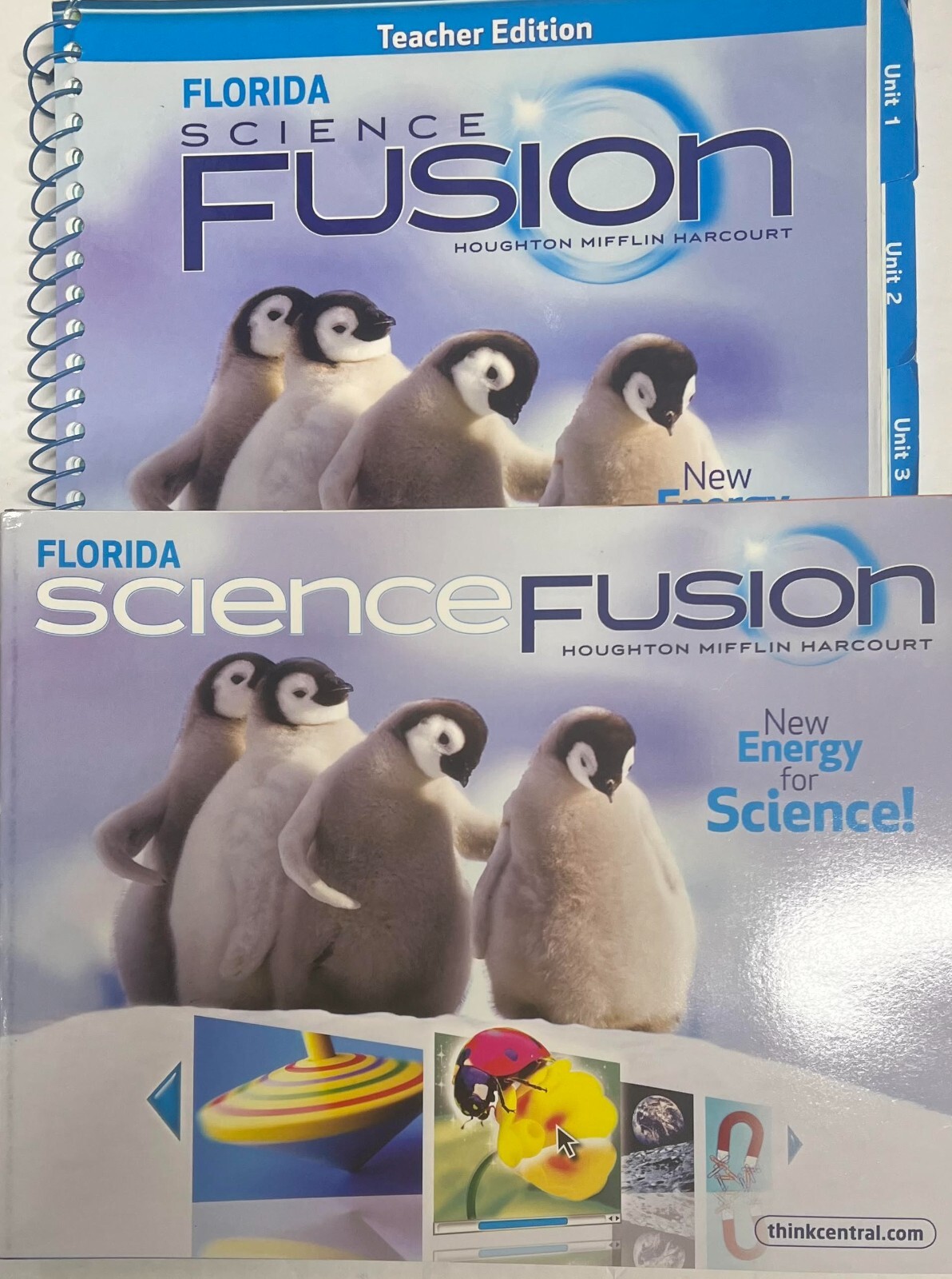 Kindergarten Science Bundle Grade K Curriculum Homeschool Homeschooling Lot