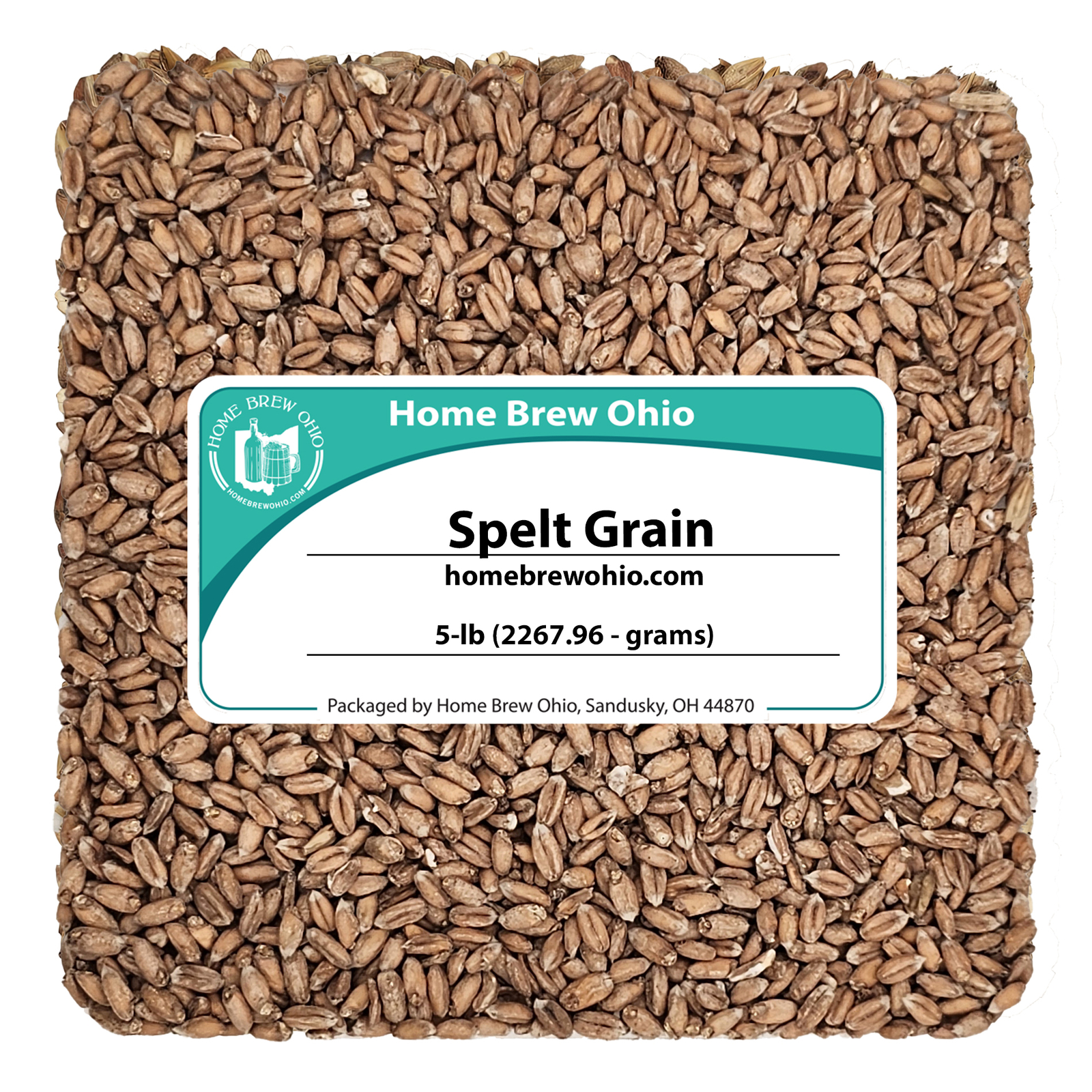 Home Brew Ohio Spelt Grain 5lb