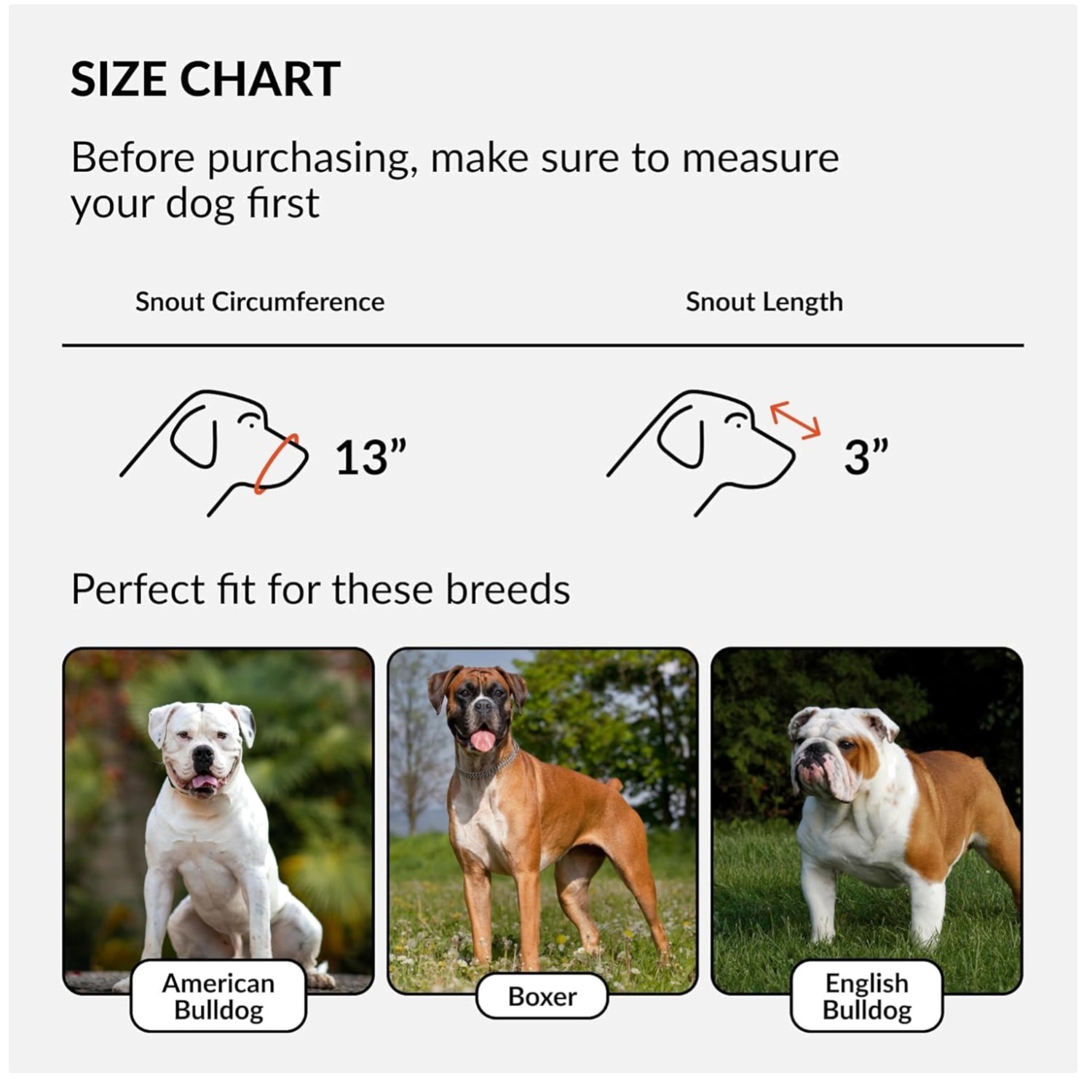 Secure Anti-Barking Muzzle for American Bulldogs