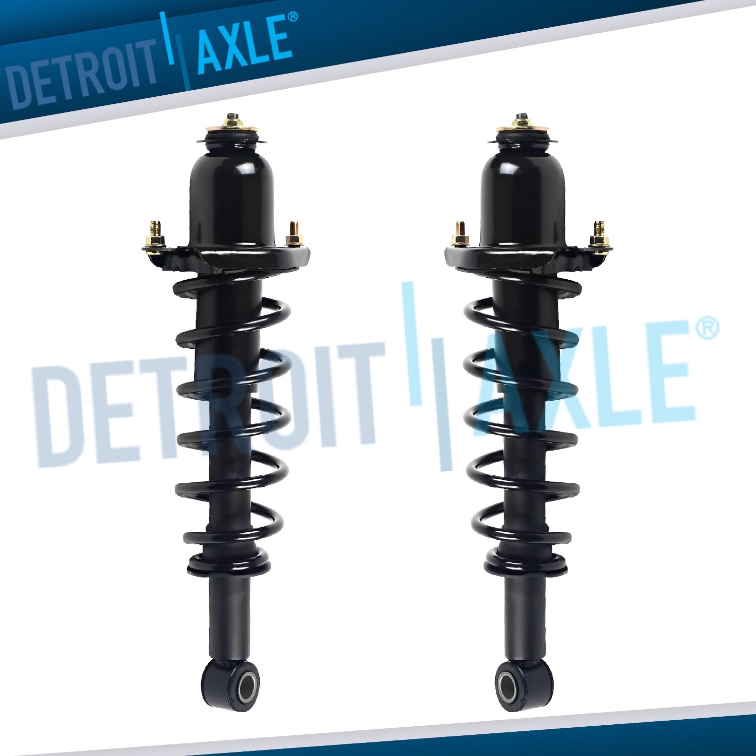 Rear Struts with Coil Spring for 2004 2005 2006 2007 2008 2009 Toyota Prius
