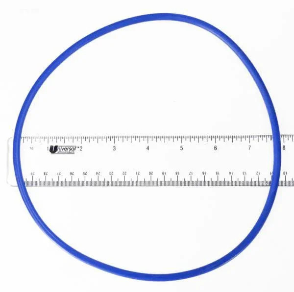 O-Ring, Filter Head