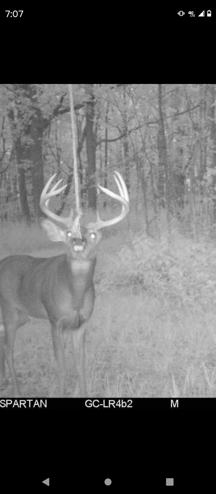 deer attractant Rope Kit! Free Shipping!