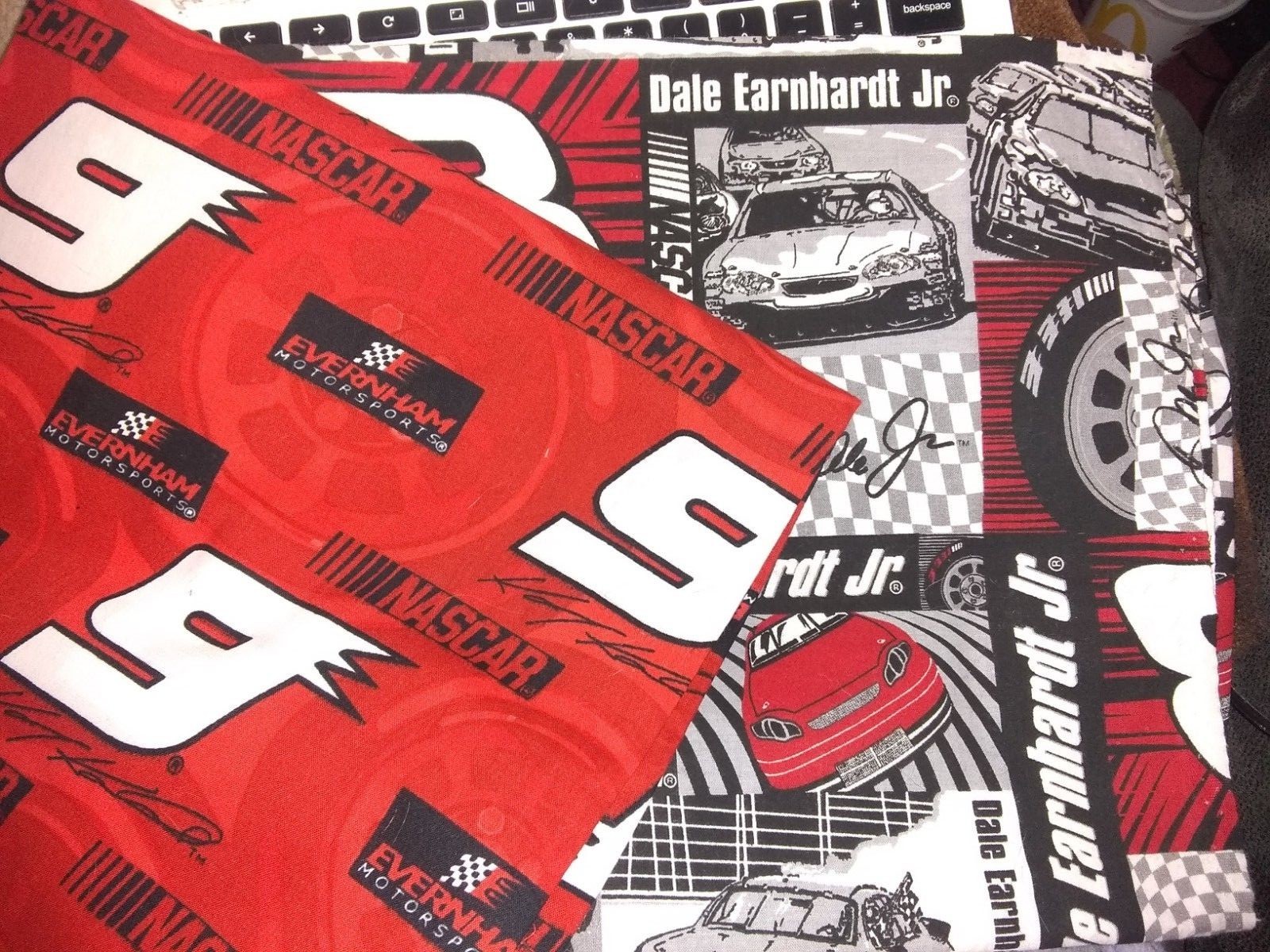 Nascar #9 or Dale Jr stuffed Pillow Valance Pillow Case FREE NAME
