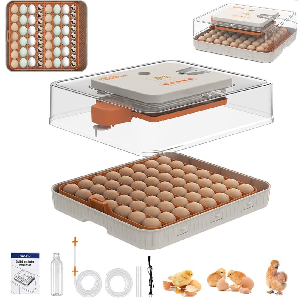 HOWOOlUA 56 Egg Incubator for Hatching Eggs with Auto Turn, Temp & 56-ORANGE
