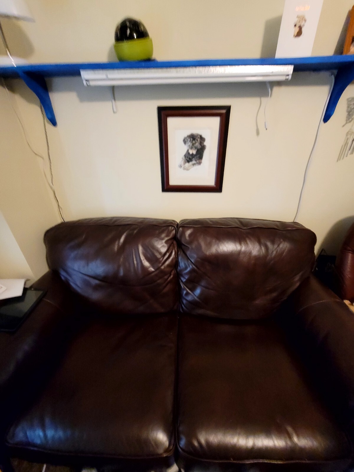 moore furniture leather loveseat