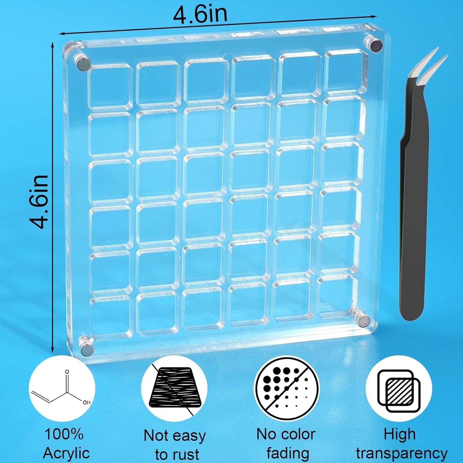 Clear Acrylic Magnetic Seashell Display Box Beach Shell 36 Grid Storage Case NEW