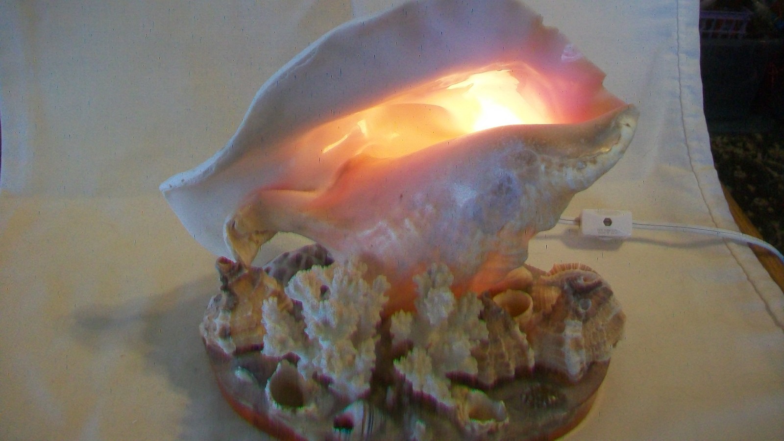Conch Seashell Night Light with Many Other Shells on Clear Resin Base