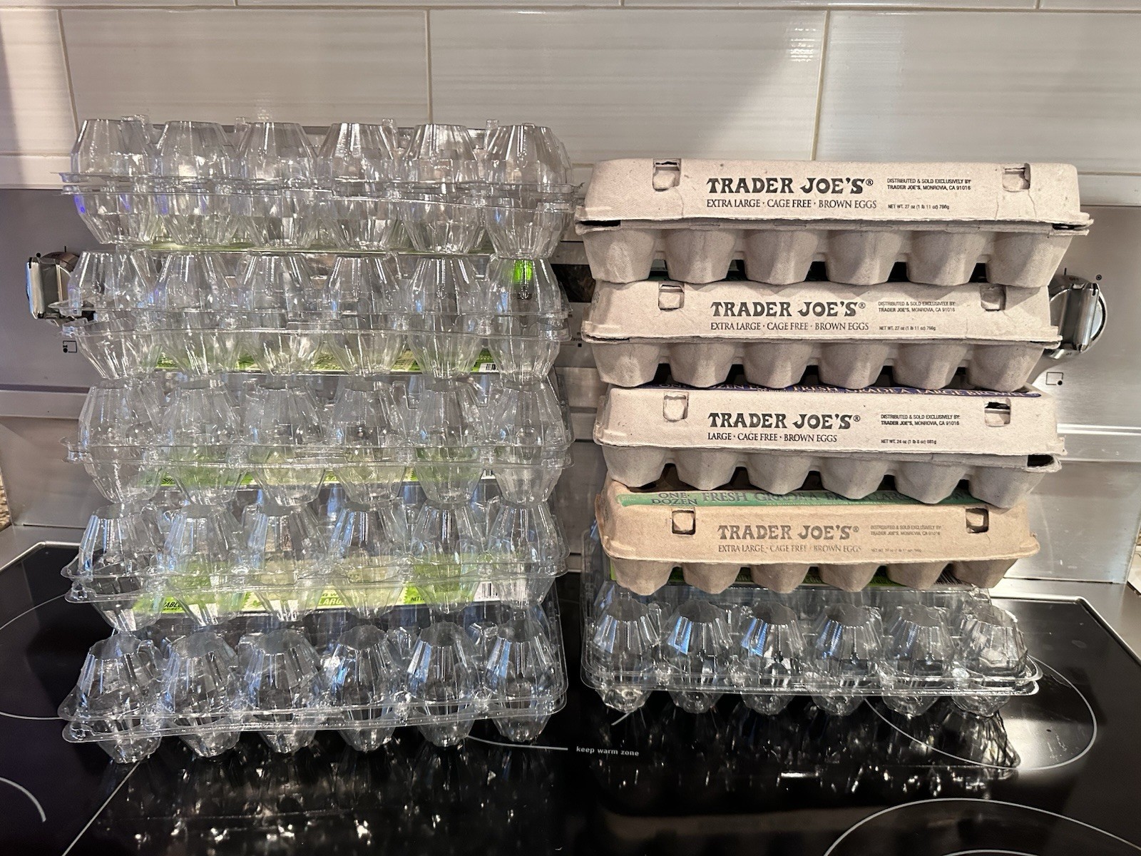 (Empty) Cardboard Plastic Egg Cartons Lot 10 For Reuse Crafts Pasture Rise Proje
