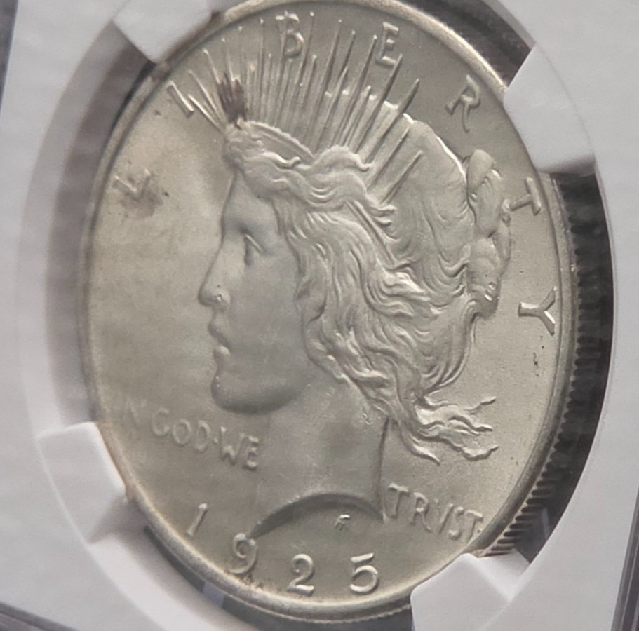 1925 Peace Dollar NGC MS64 – Bright White Luster, Clean Fields, Certified