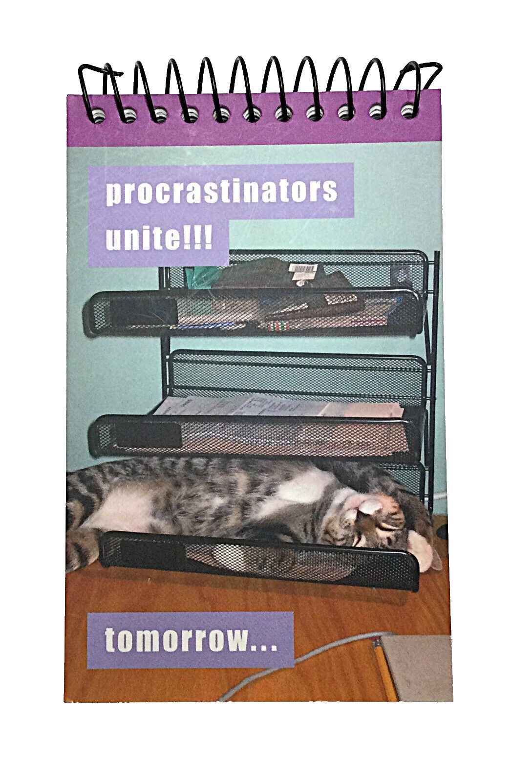 Cat themed Spiral Note Pad - 3.75" x 6" - 75 sheets