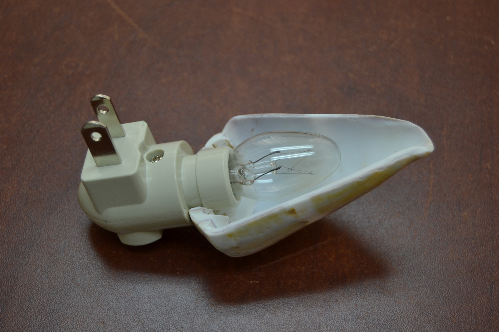 OLIVE GREEN CONE SEA SHELL NIGHT LIGHT BATHROOM KITCHEN #7255