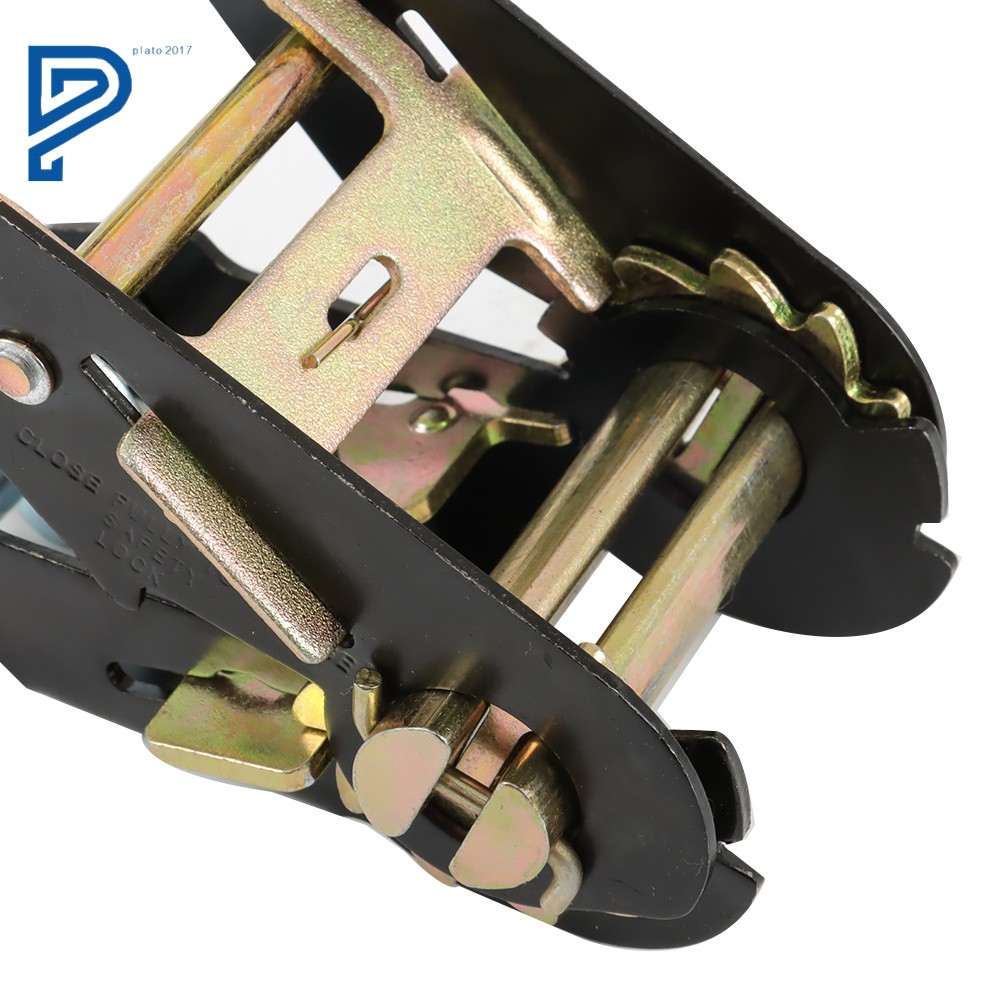 4 Pack Car Tie Down with Snap Hooks Lasso Style 2 Inch x 96 Inch