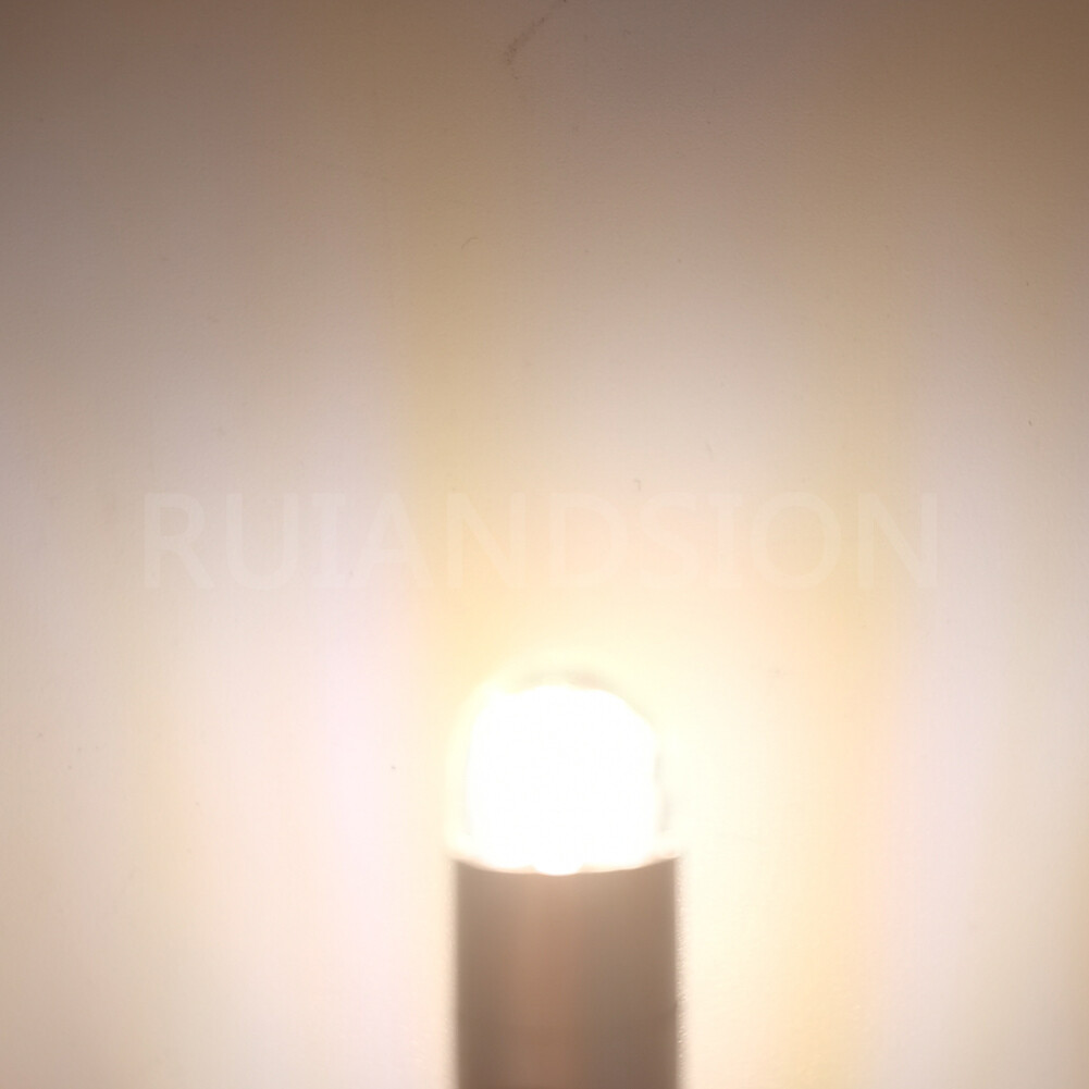 Ruiandsion E10 3030 2 LED Bulb Flashlight Light Bicycle Light 3-220V 3Colors