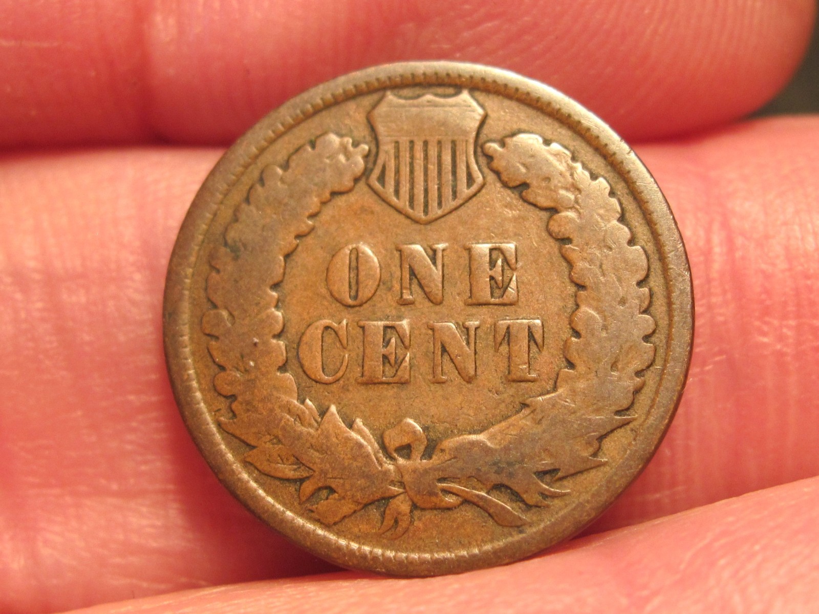 1898 INDIAN HEAD CENT, FREE SHIPPING. (#450E)