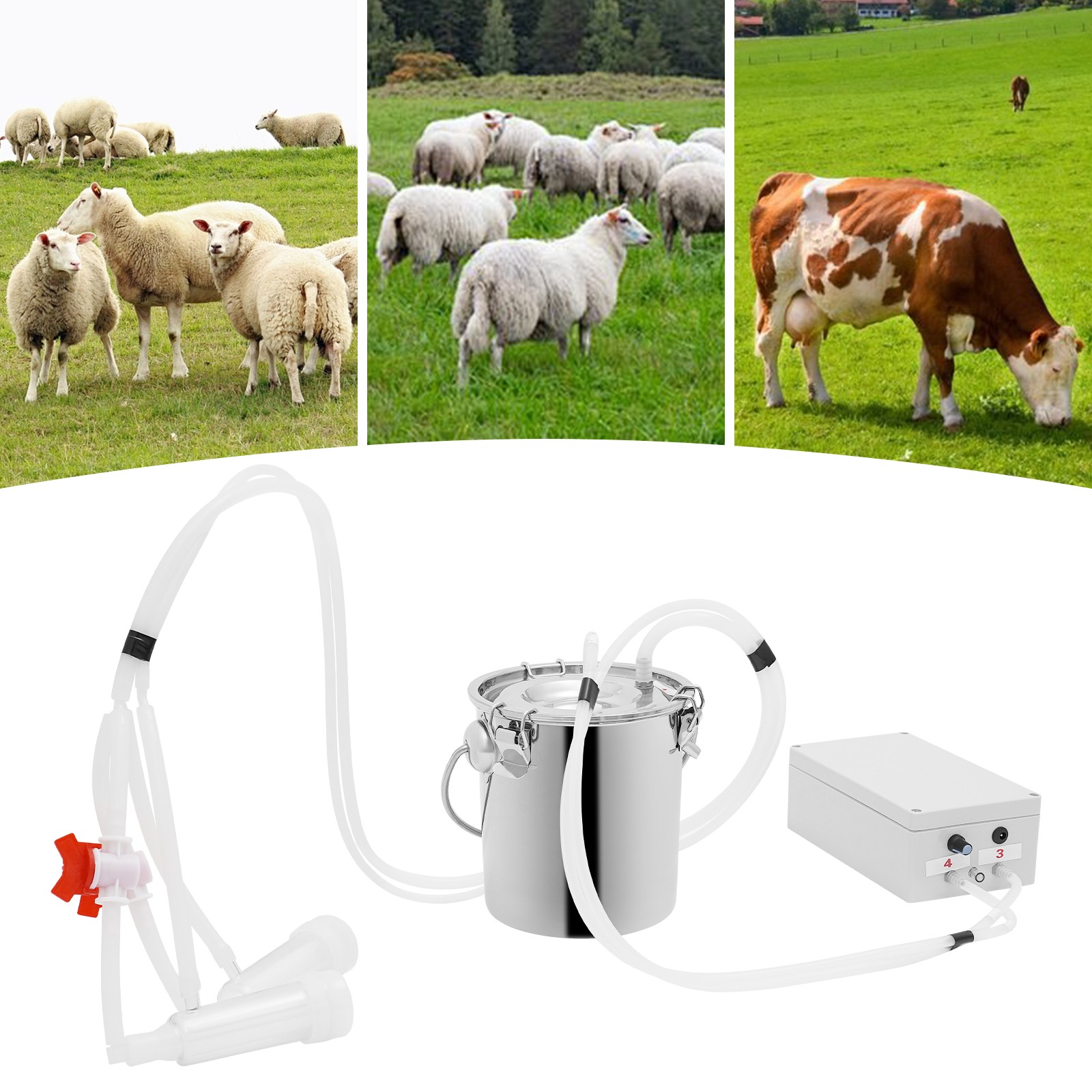 Electric Pulsation Cow Milking Machine, 3L Stainless Steel Bucket