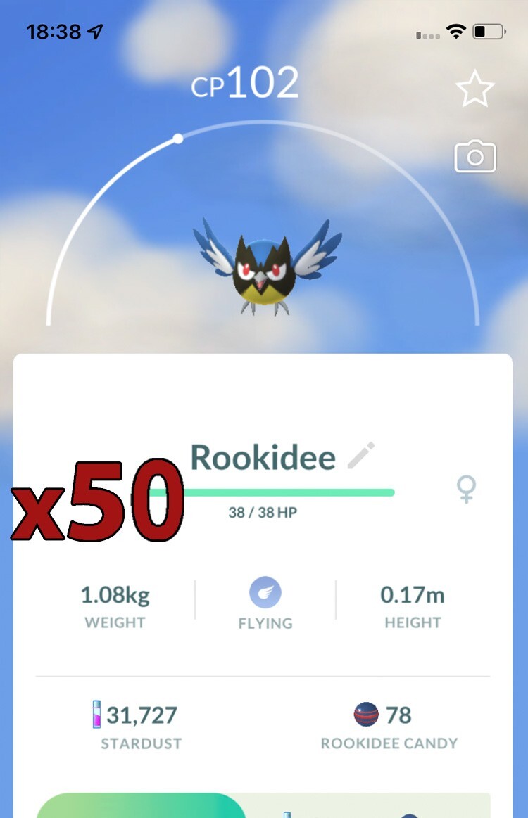 50x Rookidee Pokemon Bundle !! Good Chance of Lucky and Good IVs !! Go