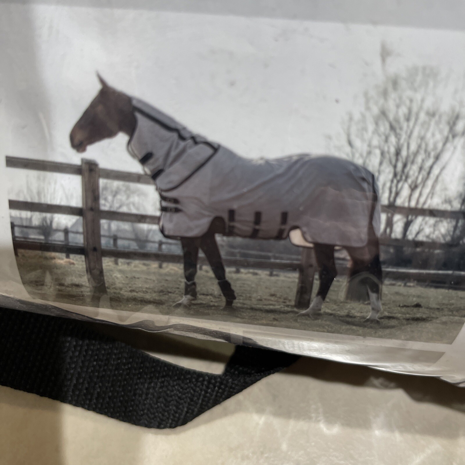 Kentucky Horsewear Mesh Fly Rug Beige Sz 125-5'9 52163-32-125 NEW