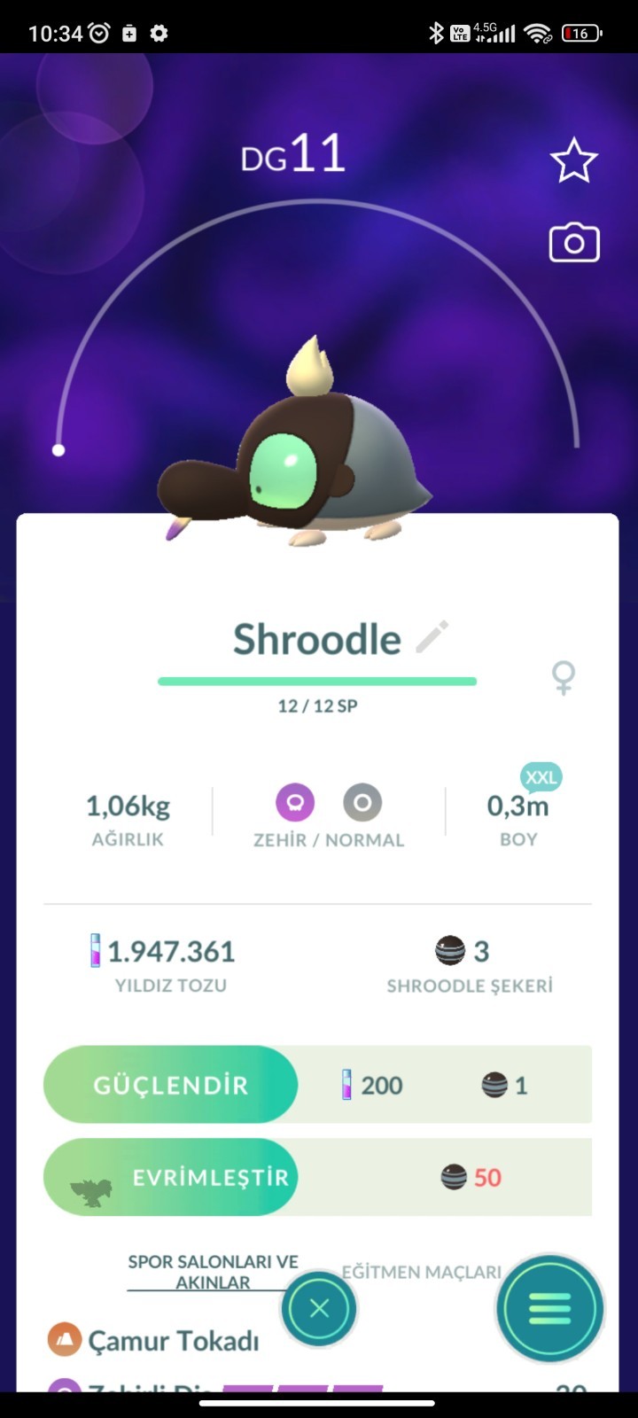 Pokemon XXL TRD Pokemon Go ✨
