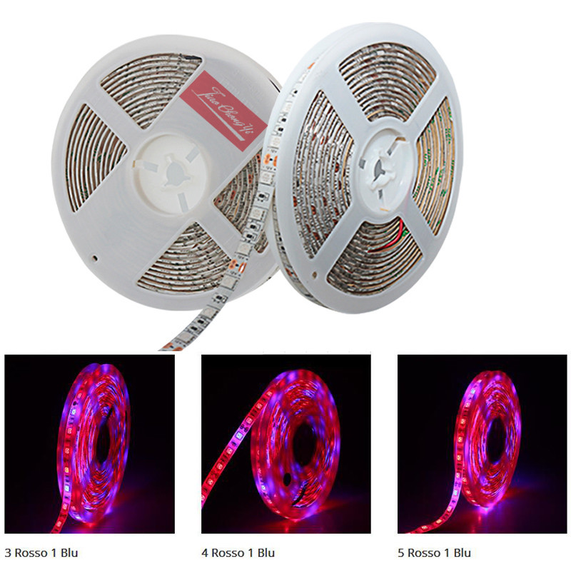 5050 300LED Grow lights red:Blue DC12V 3:1,4:1,5:1 led strip For Plant Growing