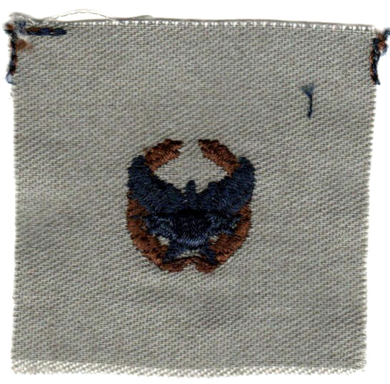 USAF patch & badge (circa 2011-2021) Cloth ABU Air Force Commander's Badge