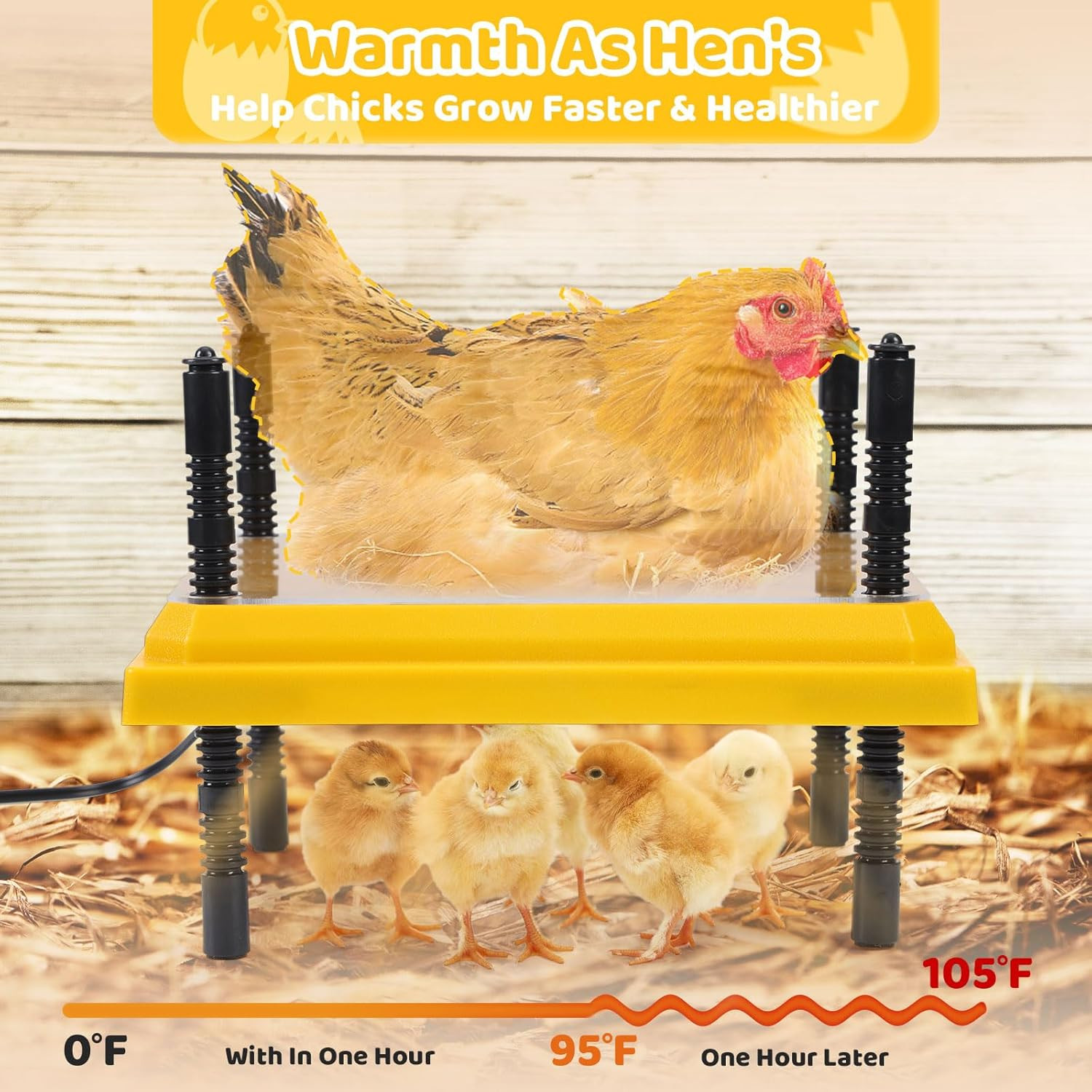 Brooder Heating Plate for Chicks Adjustable: with Bonus 12X12 Warmer with Easy