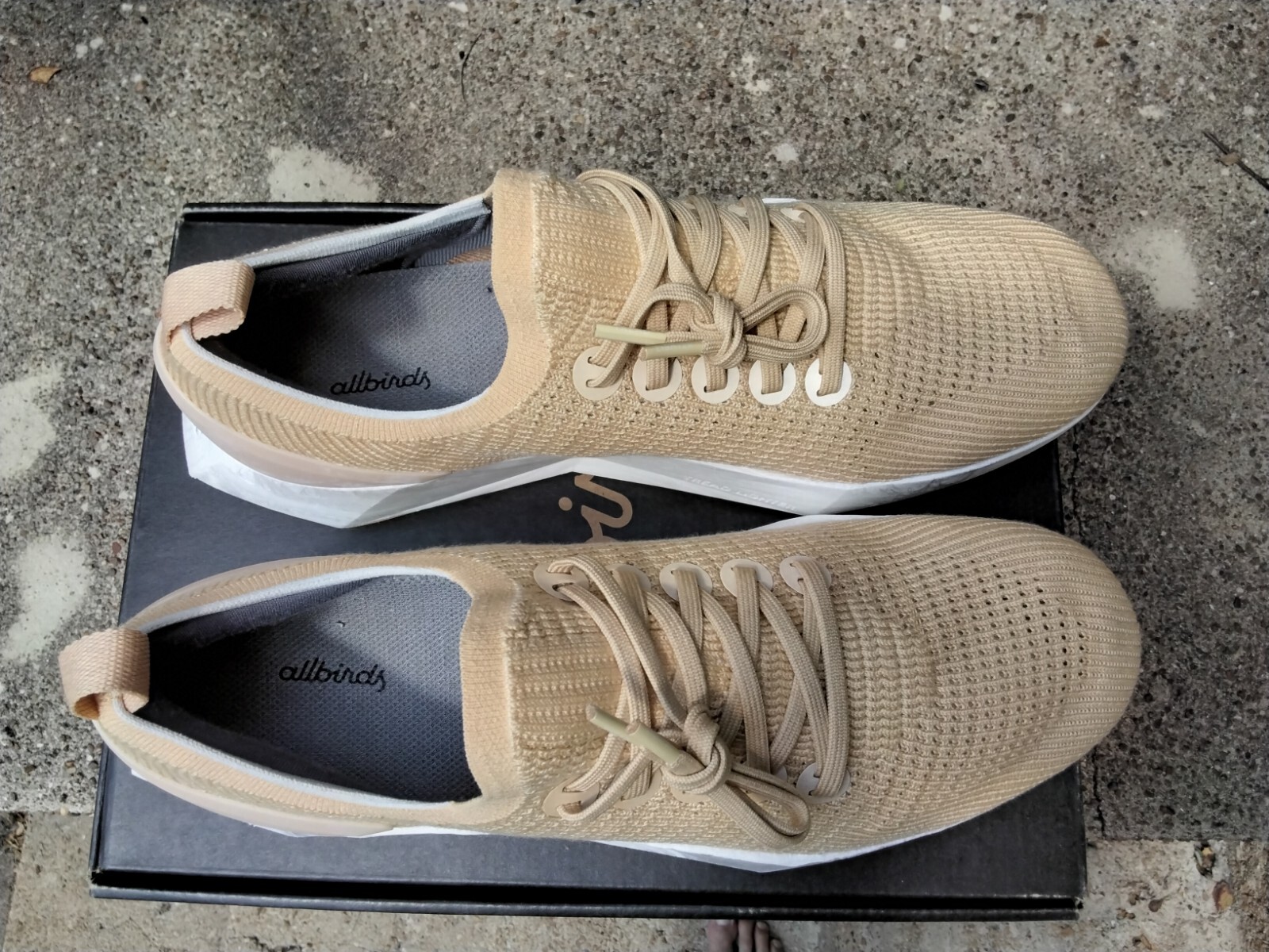Allbirds Tree Flyer Running Shoes Walking RARE LUX BEIGE Mens 12 RARE NEW $160