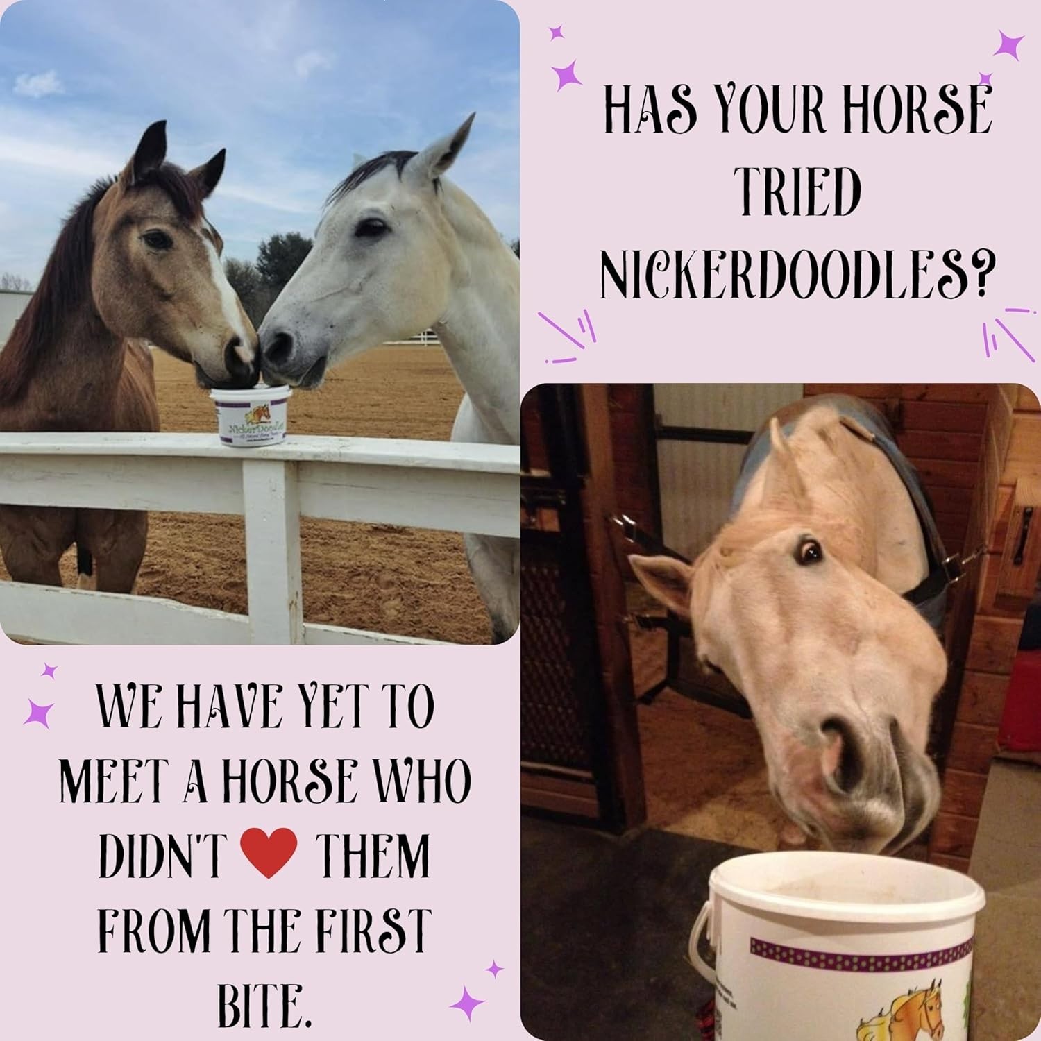 Horse Treats - 5 lb Pail - Effortlessly Give Medications with Our Soft Baked Tre