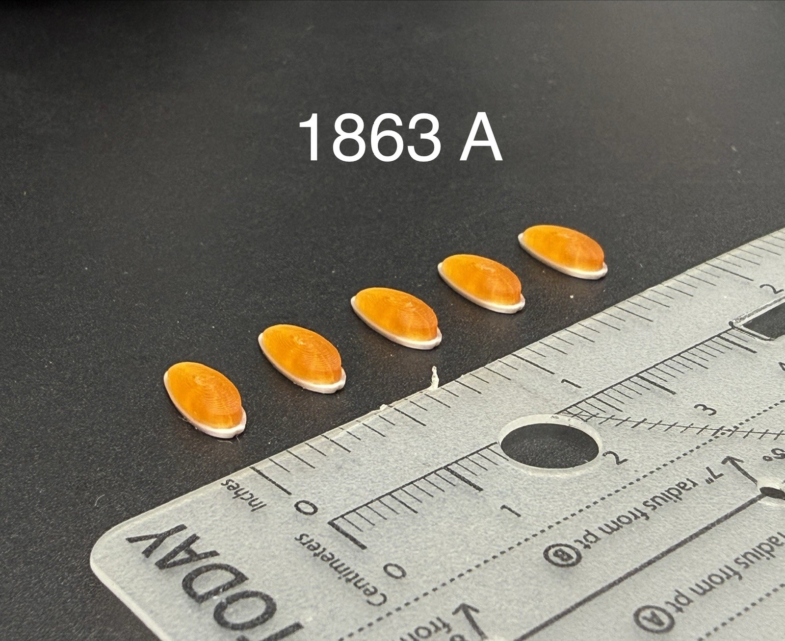 5 Pack 1/18 Scale Model Amber Roof Clearance Light Cab Marker Pickup Truck 1863A