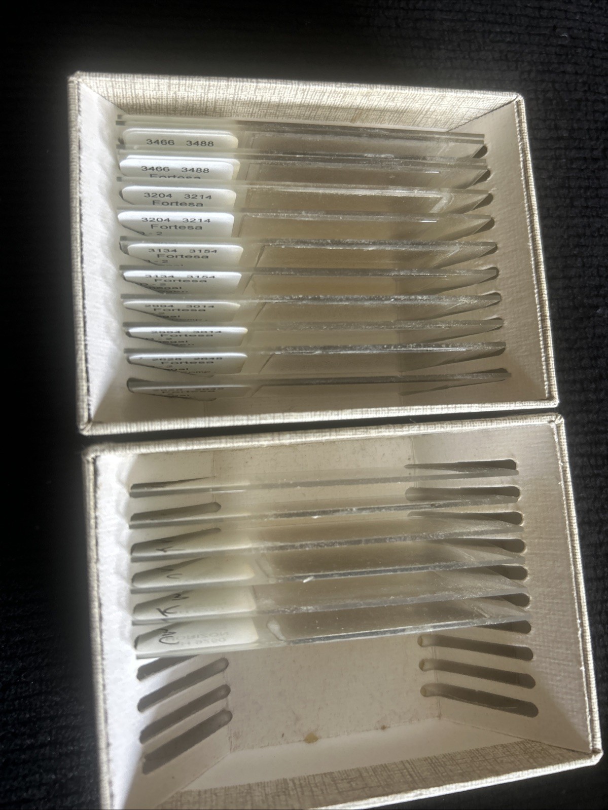 18 Fortesa And Horizon Microscope Slides