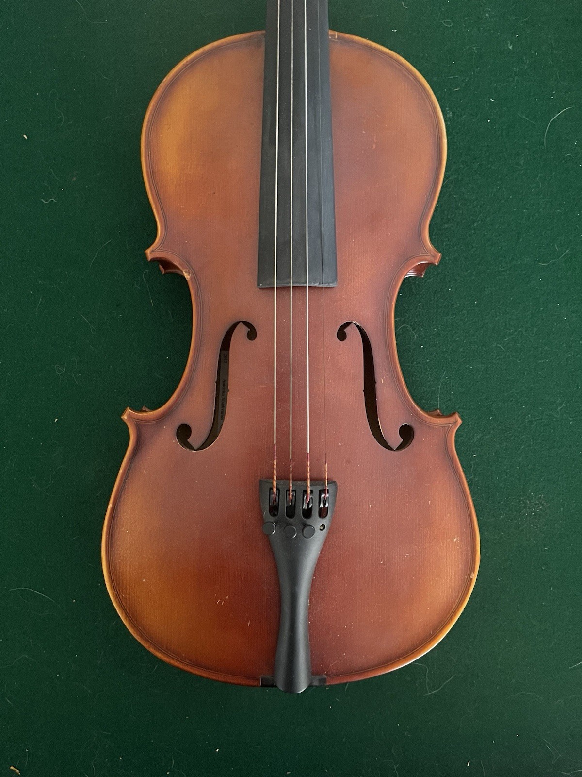 First Frets Violin 4/4 With Case And Bow Used