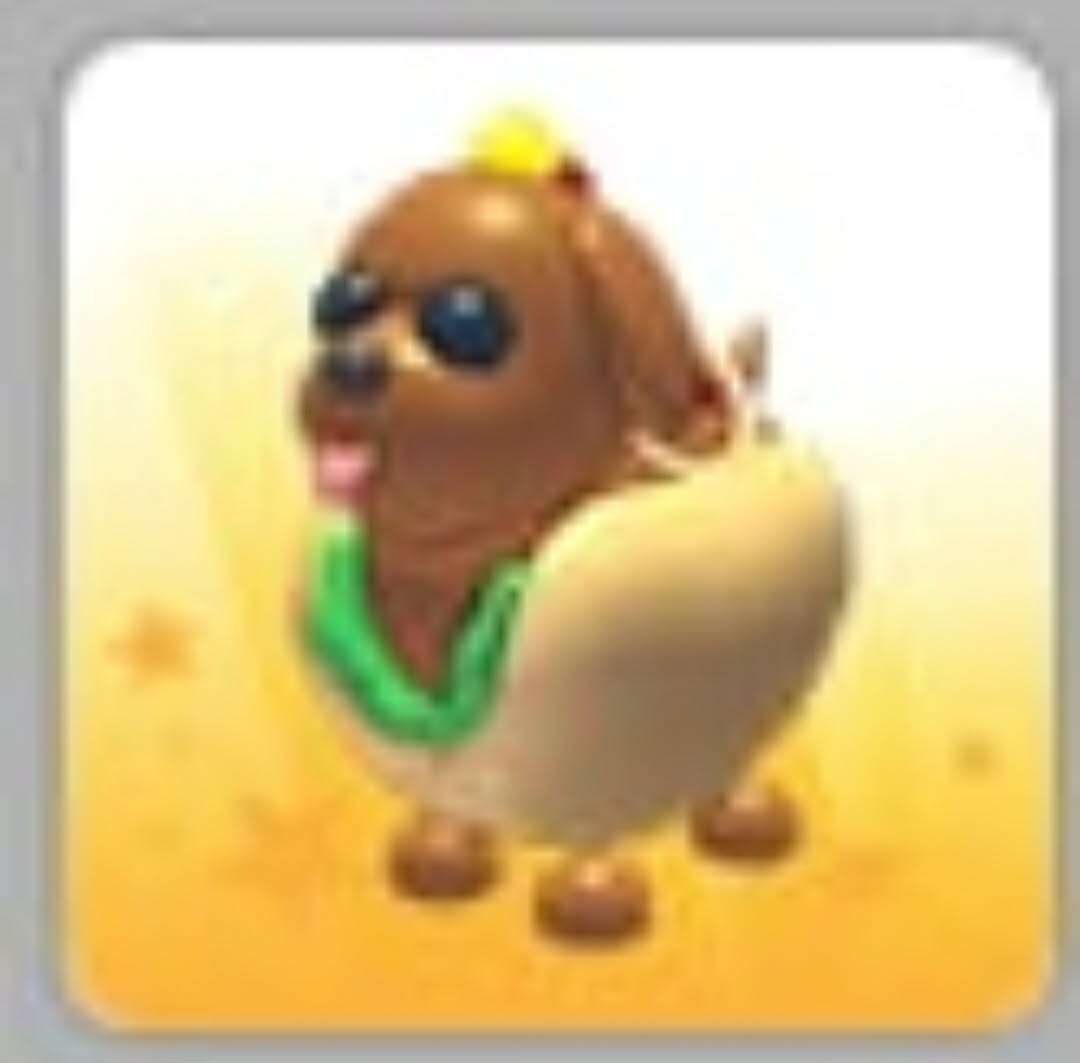 Hot Doggo | Adopt Now