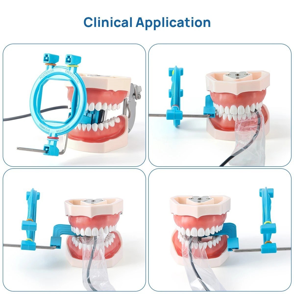 Dental XRay Positioing Digital Xray 2.0 Sensor Holder Bracket Positioning System