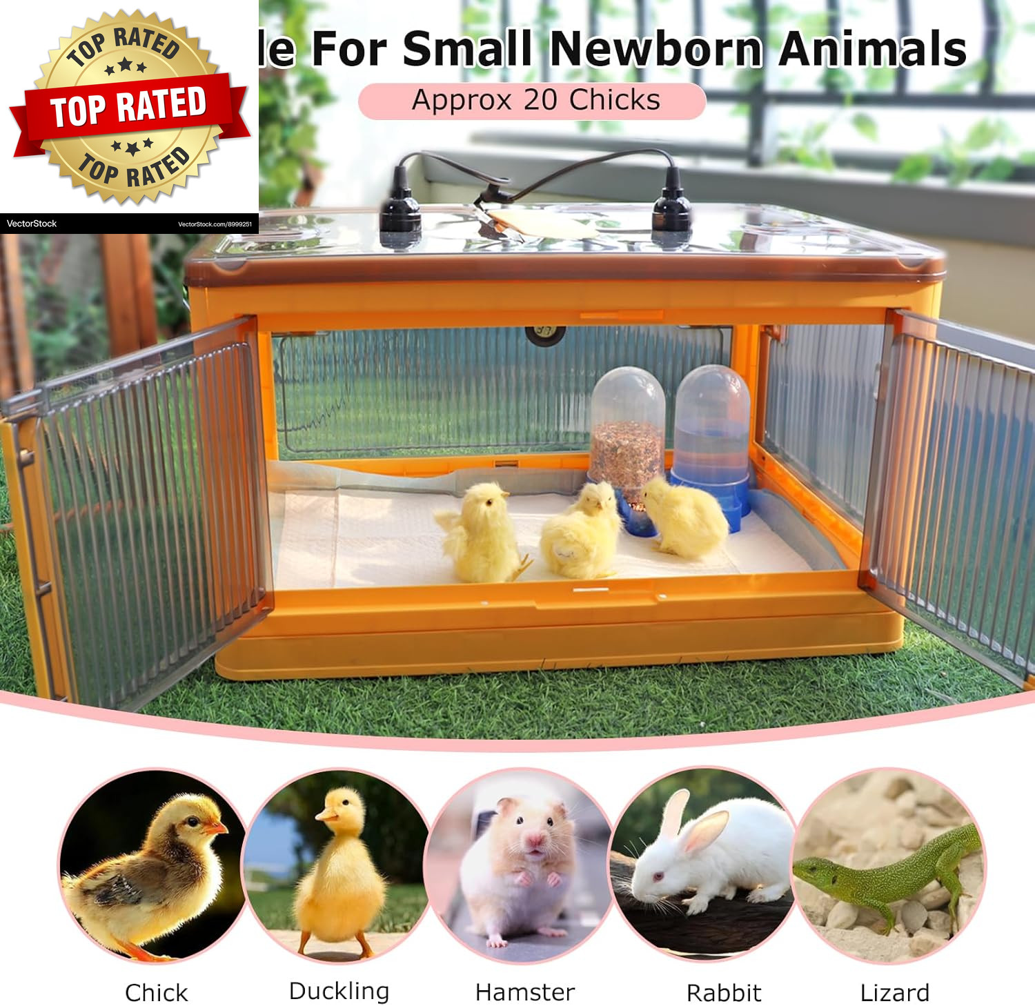 Chick Brooder Box for Chicks, Quail Brooder Box Kit with Heater Feeder