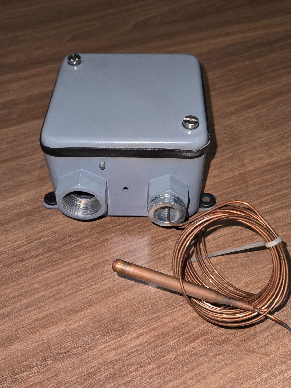 Johnson Controls A19ANC-1 Remote Bulb Temp Control w/ Rainproof Enclosure