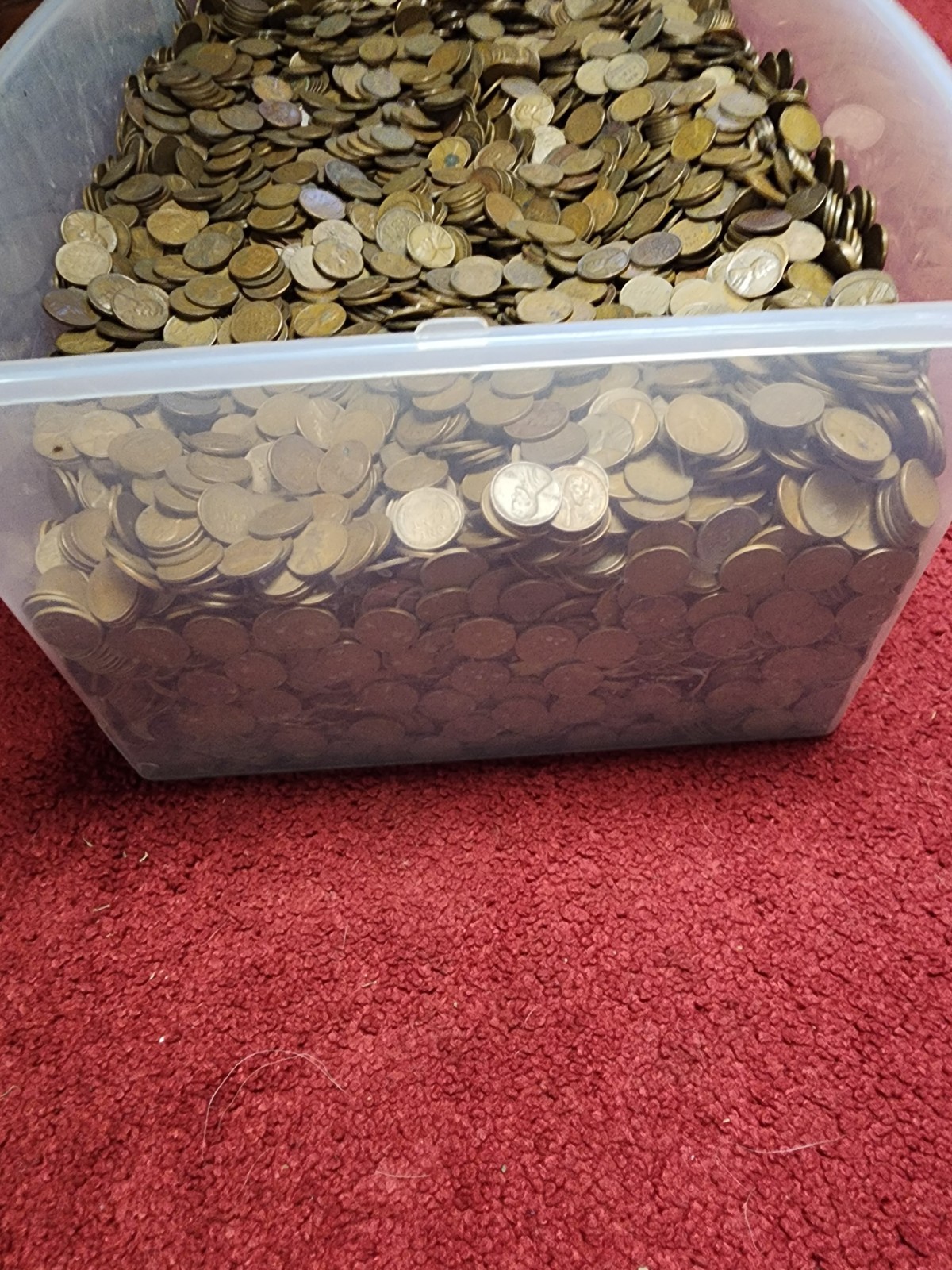 Large Lot Of Unsorted Wheat Pennies