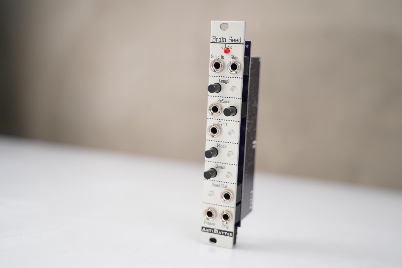 Antimatter Brain Seed Eurorack Module #58470