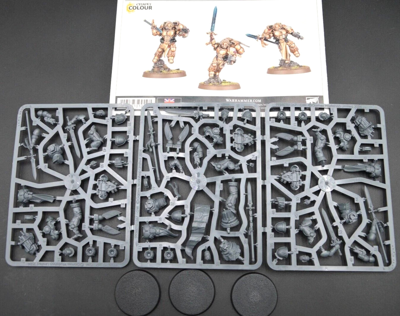 Blood Angels Sanguinary Guard NO BOX or SHEET Warhammer 40K Space Marines