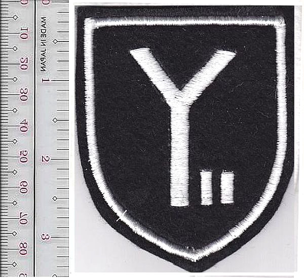 Germany German Army WWII 9th Panzer-Division Black felt NO TARIFF