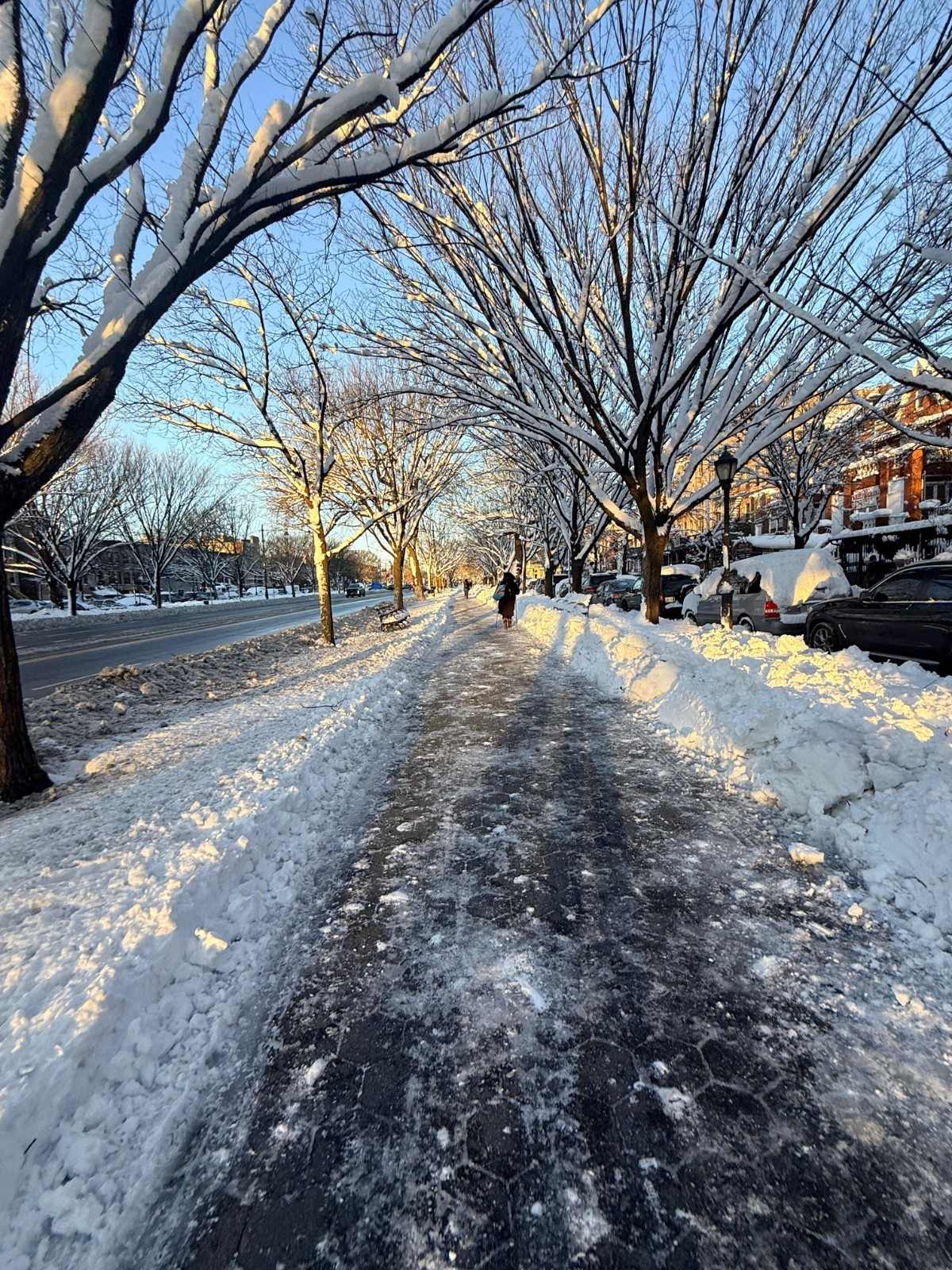 Digital Image Photo Wallpaper Background Desktop Winter In NYC * Only 0.99 Cent!