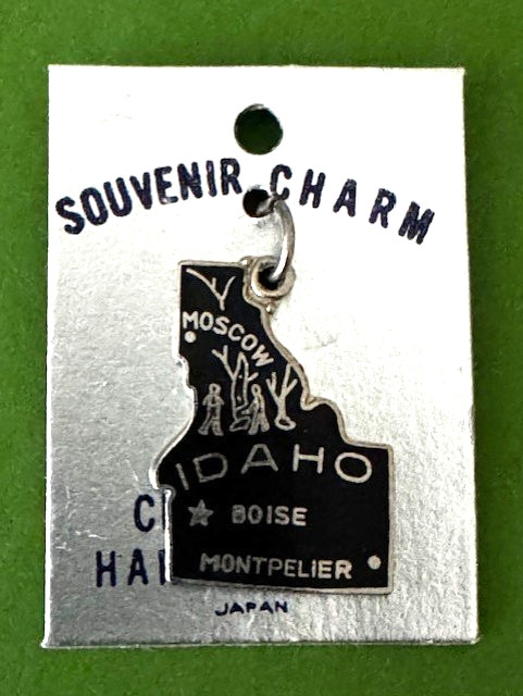Vintage  IDAHO Cloisonné Hard Enamel State Map Souvenir Charm