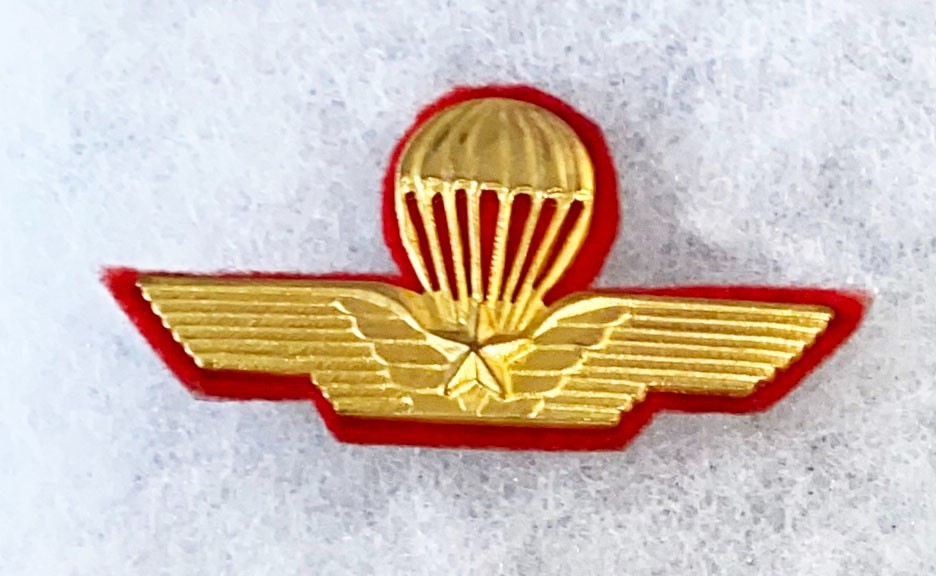 Italian Para Airborne Jump Wing Badge