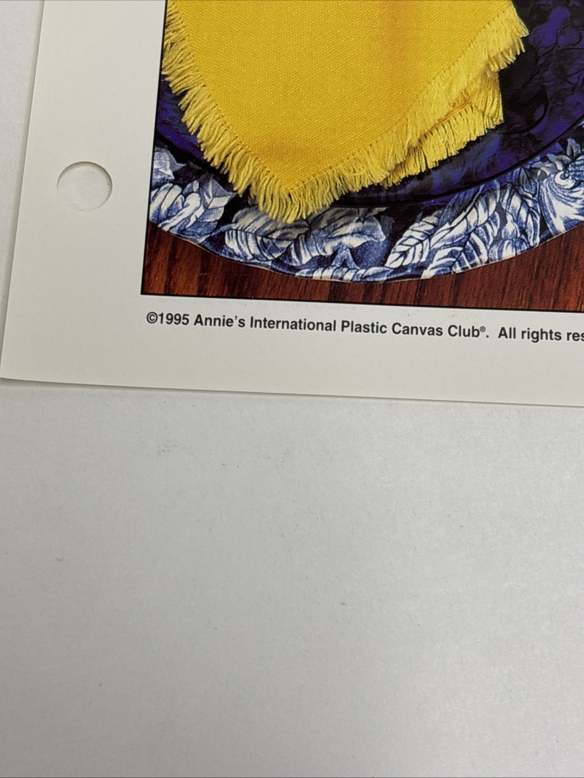 Country Sampler Place Mat Annie's Attic Plastic Canvas Pattern Page