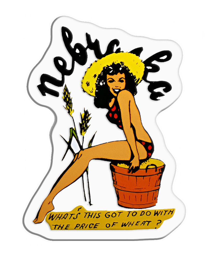 Nebraska Pinup Vintage Sticker Decal