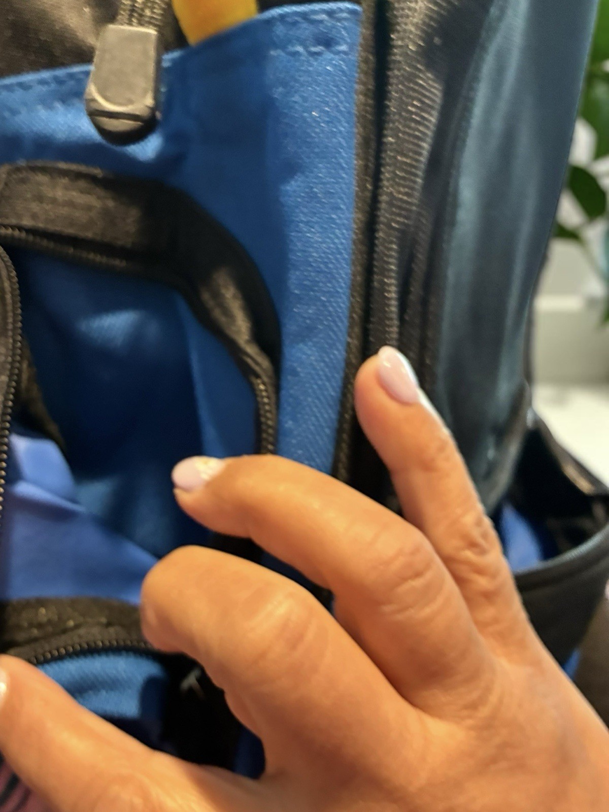 Black And Blue Backpack With Many Pockets.