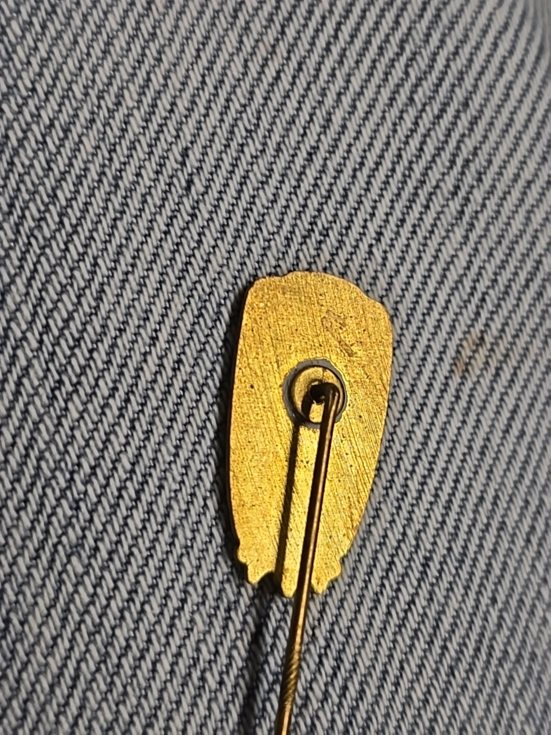 Vintage Vaillant Pin (99)