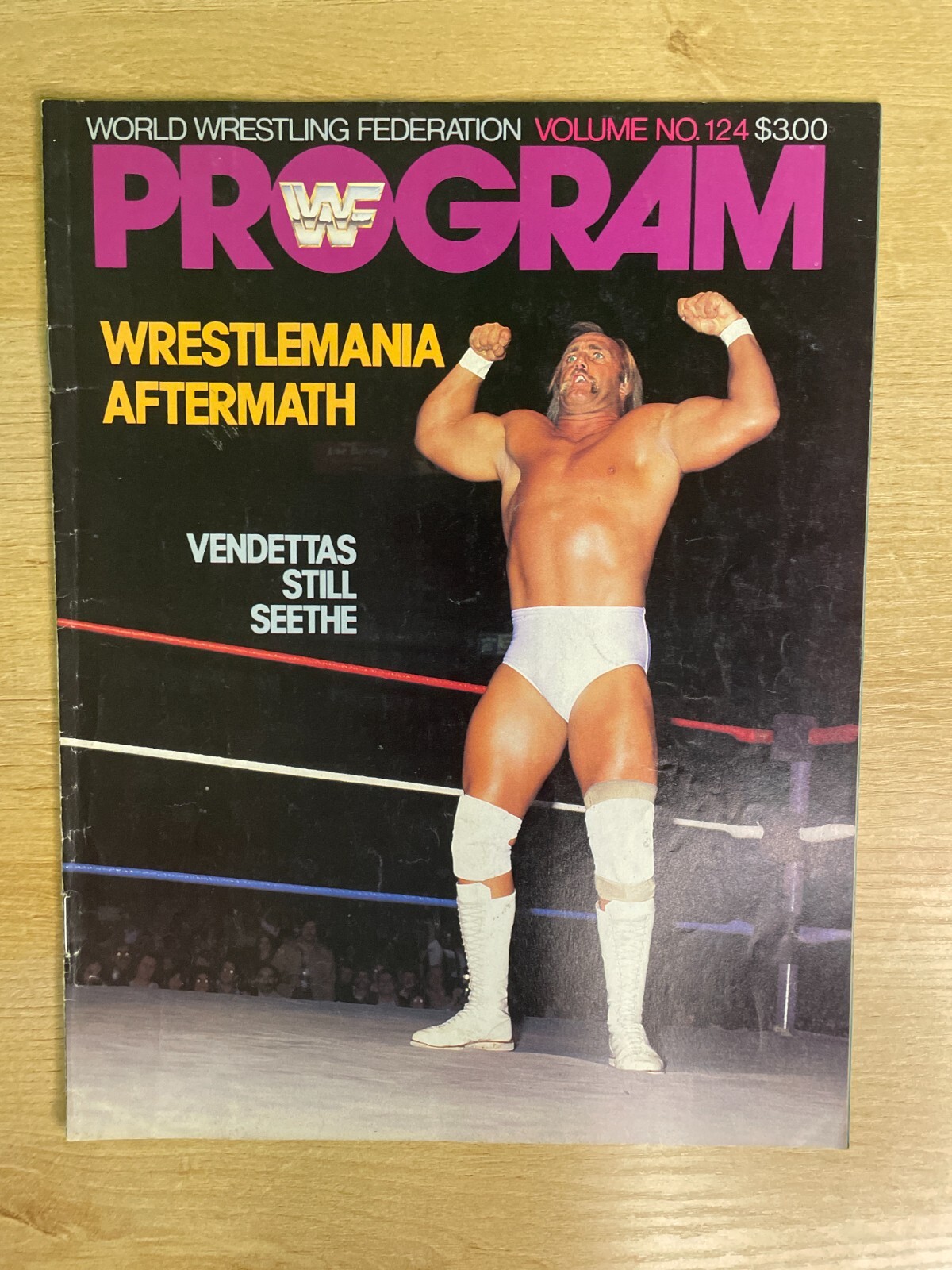 Vintage WWF Program #124 Vendettas Still Seethe B2783