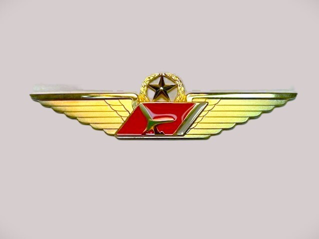 ExpressJet Airlines - Captain Wing 2nd Issue