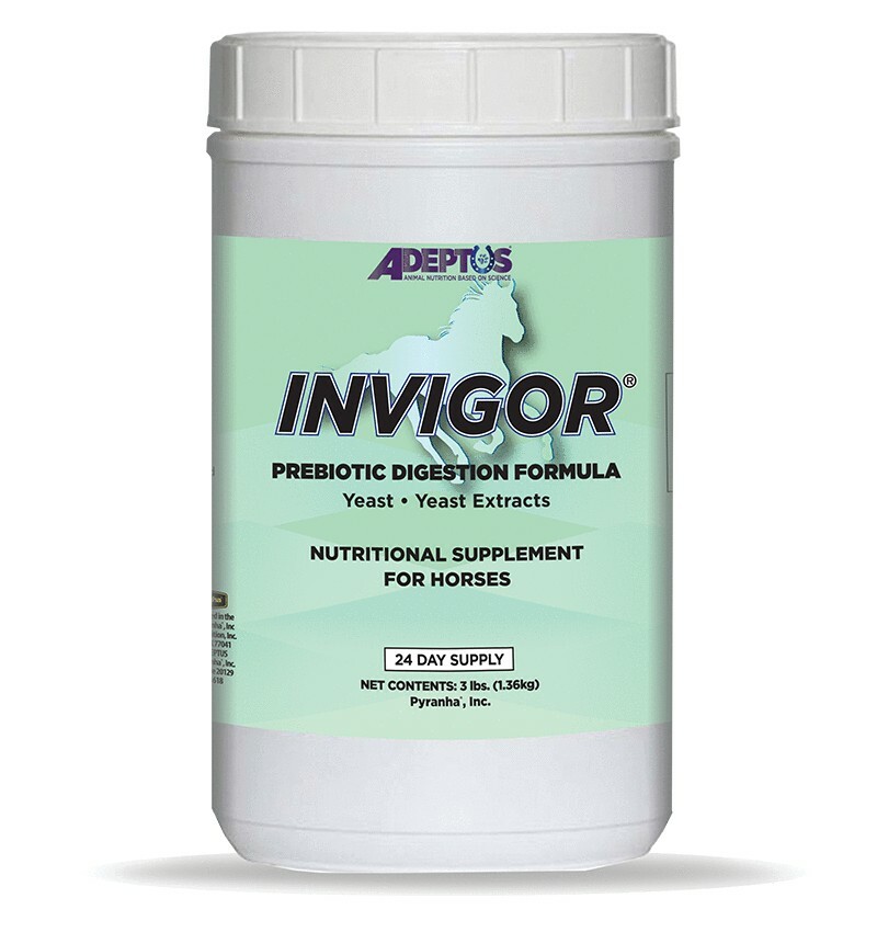 Adeptus Invigor