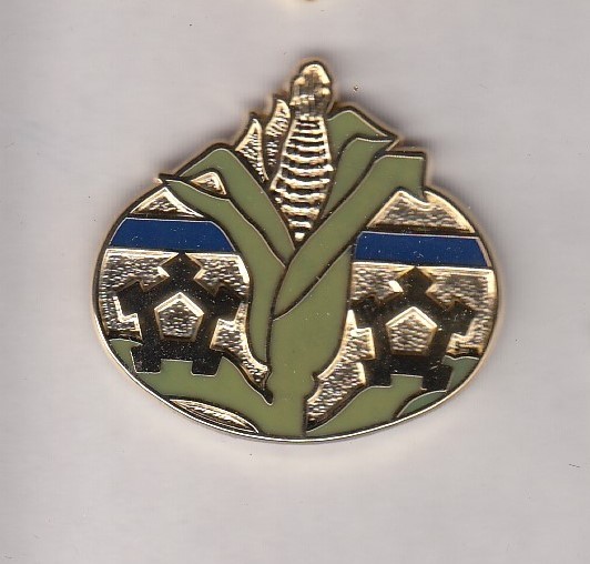 Nebraska Army National Guard ARNG crest DUI badge c/b clutchback P-23